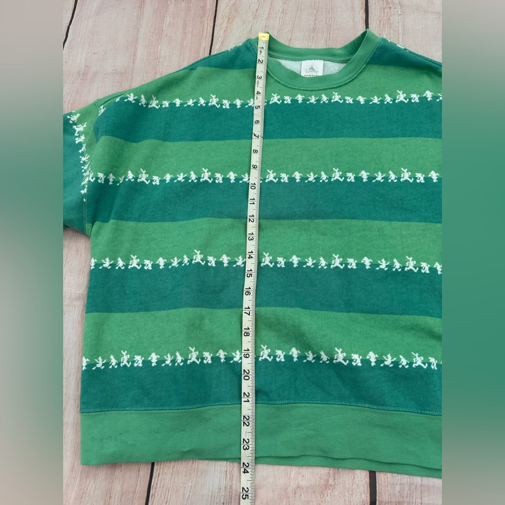 Disney Adults Disneyland Resorts Mickey And Friends Pullover Green Striped Med - Picture 6 of 6